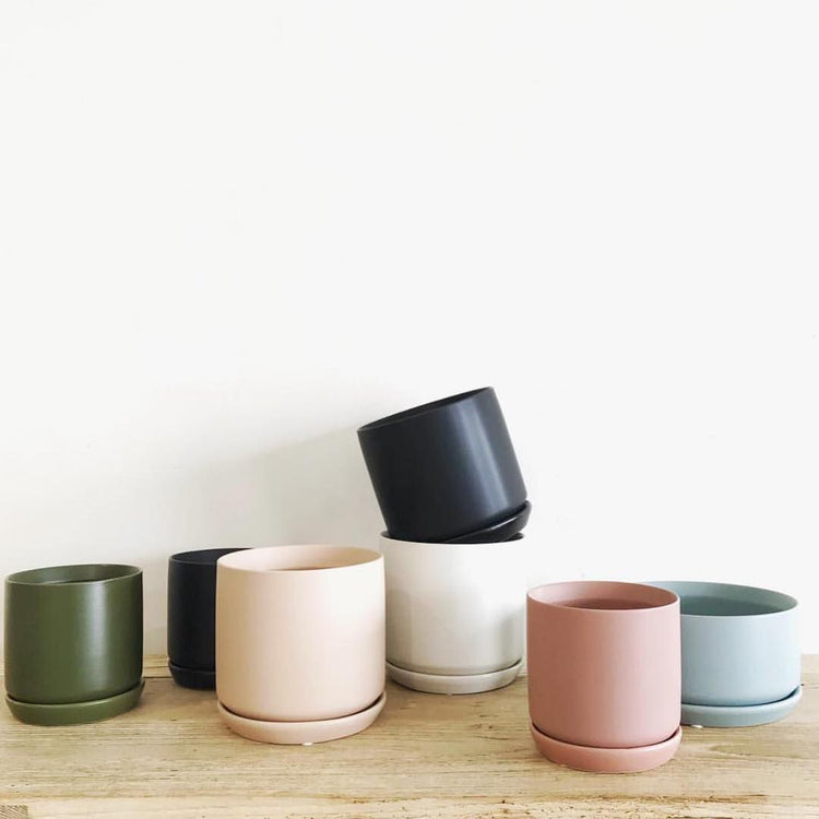 Pots & Trays