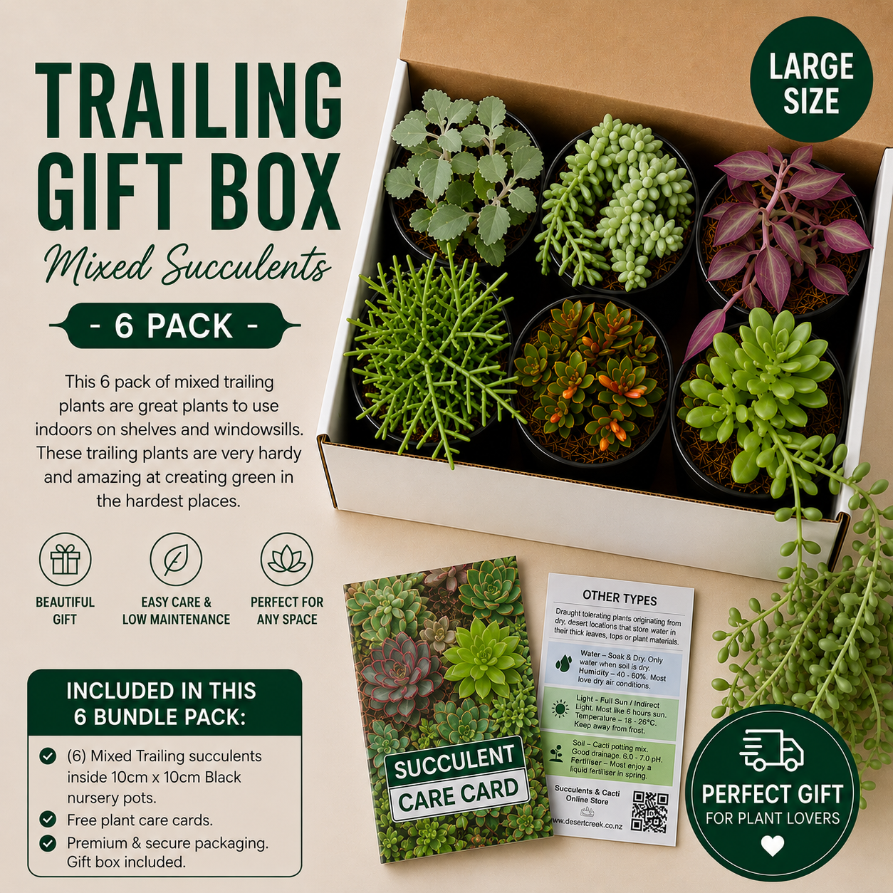 TRAILING' Succulents