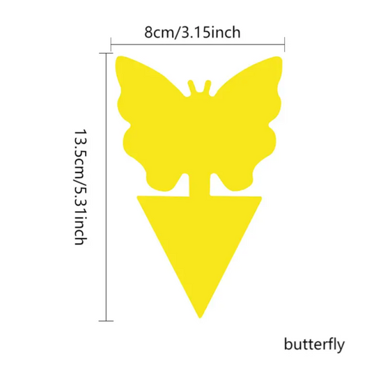 Insect Sticky Traps - Shapes (12 Pack)