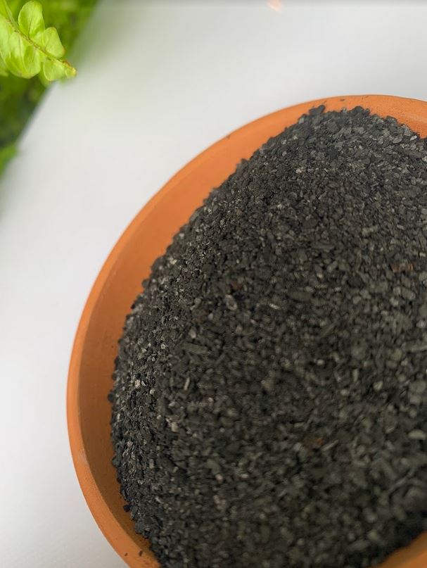 Horticultural Charcoal - Biochar – THE PLANT BASE