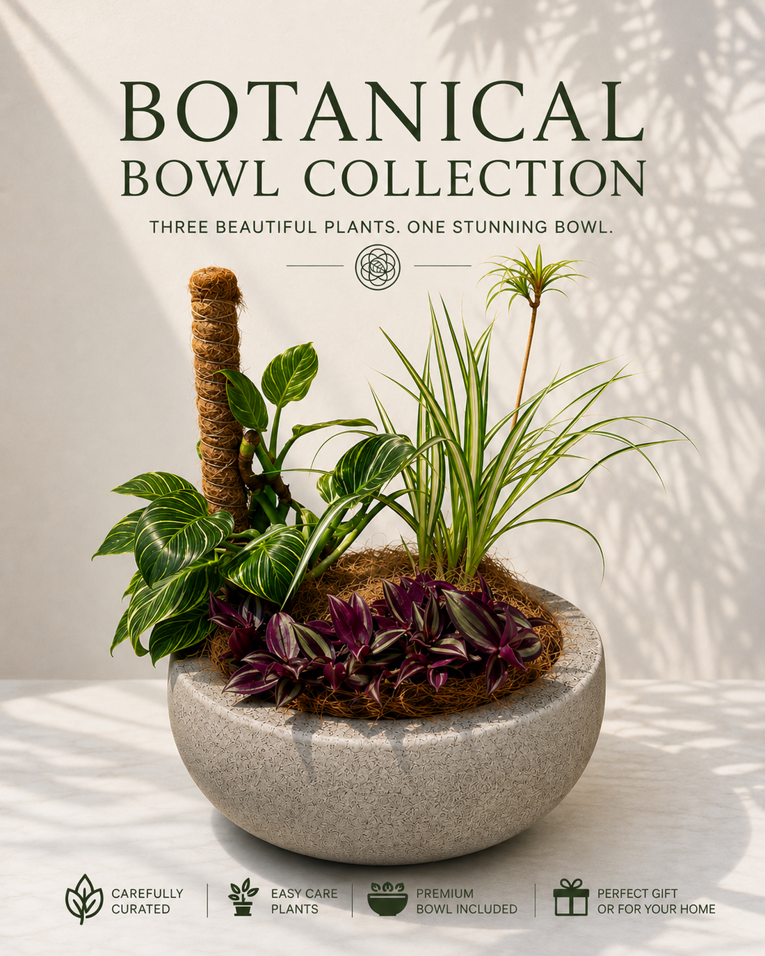 Botanical Bowl Collection