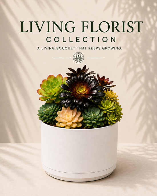 Living Florist