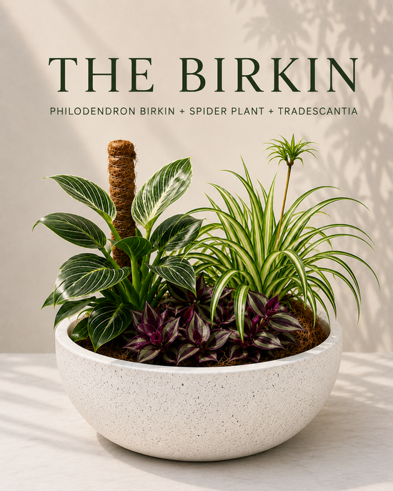 The Birkin