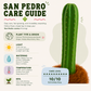 San Pedro Cactus