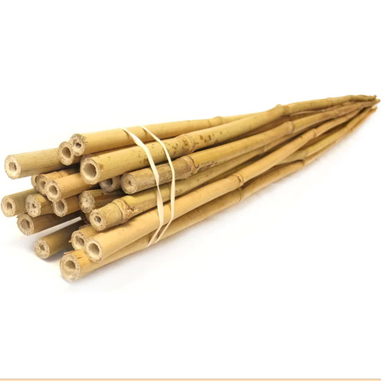 Bamboo Stakes - Natural (10 Pack)