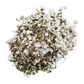 Vermiculite & Pumice (50/50) - Soil Box