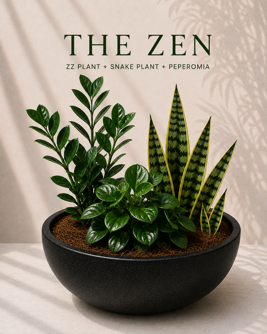 The Zen