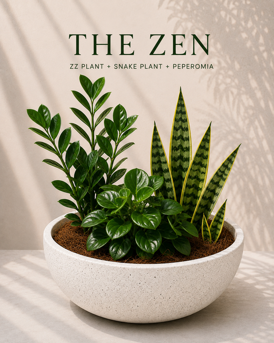 The Zen