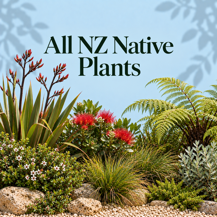 Natives