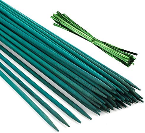 Bamboo Stake