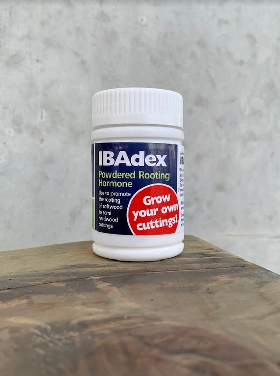 Rooting Hormone - IBAdex - 25g