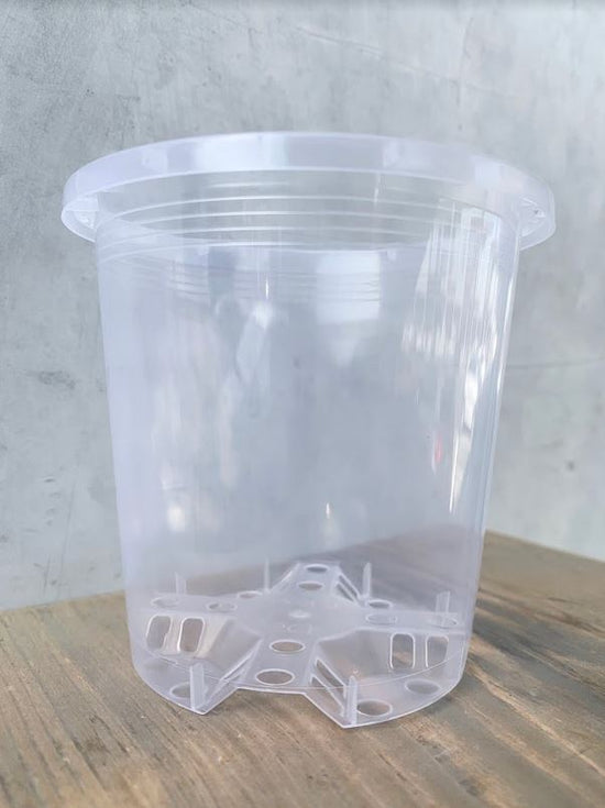 Clear Nursery Pot (10 Pack)
